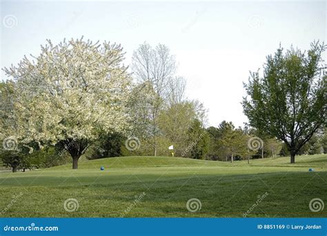 Golf Course Landscaping stock image. Image of marker, landscaping - 8851169