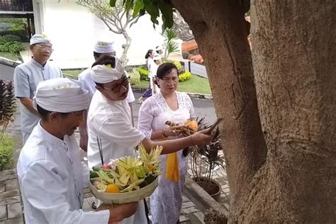 Tradisi Hindu Bali Ini Banten Untuk Perayaan Hari Tumpek Bubuh Berikut