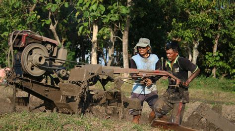 photo  man standing  holding pickaxe  stock photo