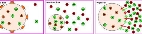 Figure 11 From Effect Of Ion Ion Correlations On Polyelectrolyte Gel Collapse And Reentrant