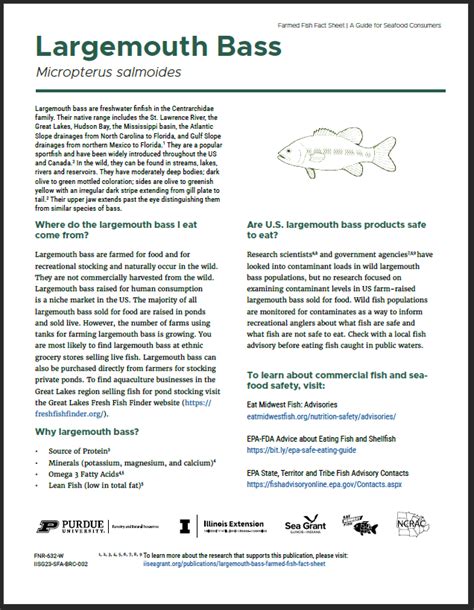 Largemouth Bass Farmed Fish Fact Sheet Illinois Indiana Sea