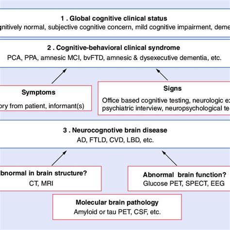 Diagnostic Formulation Of Neurocognitive Disorders We Advocate For A