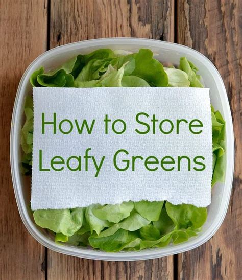 How To Keep Green Leafy Vegetables Fresh In Fridge Best Vegetable In