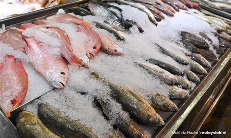 Jangan Naikkan Harga Ikan Masa Tengkujuh Bekalan Cukup Kata Lkim