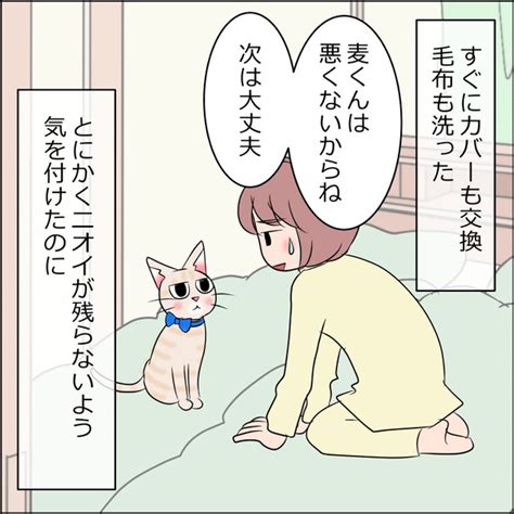 ＜画像49 102＞【ネコ漫画】夢にまでみた「猫との生活」を手にいれた！生きててよかった猫との日常をリアルに描いたネコ漫画に共感の嵐