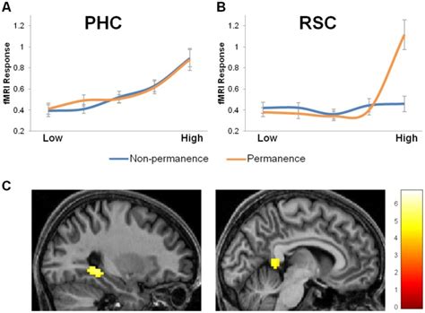 The Fmri Bold Response To The Non Permanence Blue And Permanence