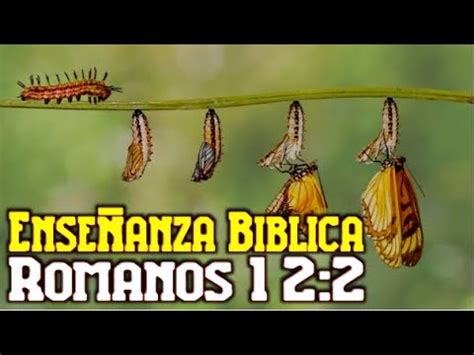 Romanos 12 2 Renueva Tu Mente Y Transforma Tu Vida YouTube