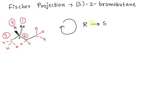 SOLVED Draw The Fischer Projection Of S 2 Bromobutane