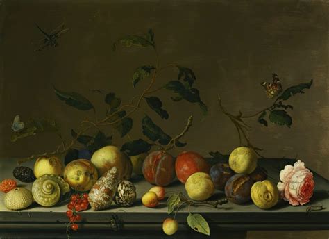 A Still Life Of Fruit And Shells With A Rose And Various Insects Upon A