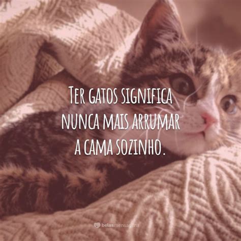 Frases Com A Palavra Gato - 60 Frases Sobre Gatos Para Demonstrar Afeto Pelos Felinos [FOFAS ...