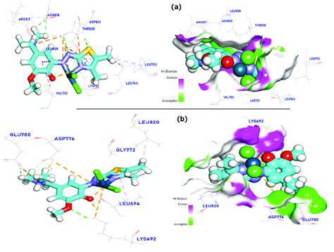 Complex 1 (a) and complex 2 (b) docked in EGFR tyrosine kinase ...