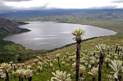 3 días 2 noches en el Inti Raymi volcán Cumbal y termales