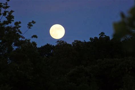 The Feral Irishman Crystal Clear Skies Here Tonight Allowing The Full