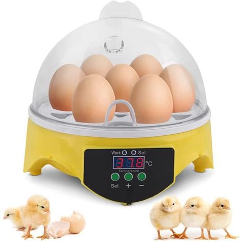 Incubateur Dœufs Automatique Avec écran Lcd Pour Poule Canard