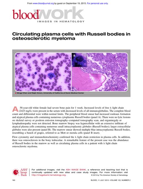 (PDF) Circulating plasma cells with Russell bodies in osteosclerotic ...