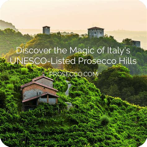 Visit Prosecco Italy The Best Tour Guide To The Region 2024