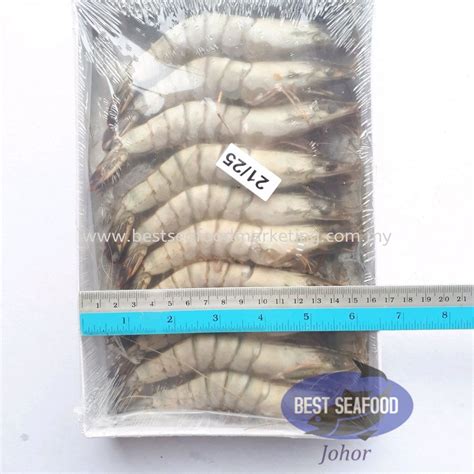 Tiger Prawn 老虎虾 Udang Harimau Size 21 25 Sold Per Pack Prawn 虾