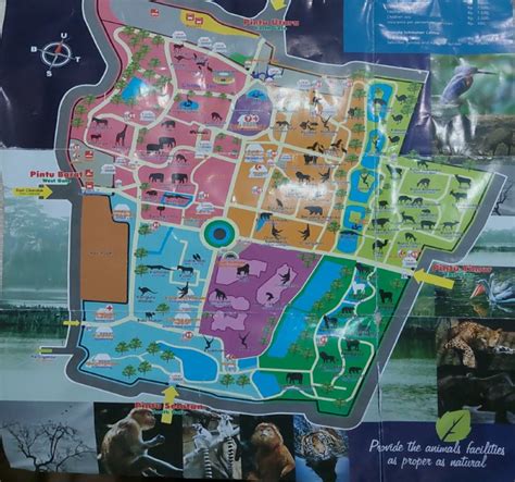 Zoo Map | PDF