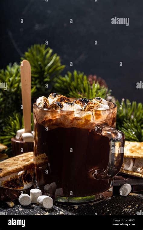 Thick Smores Hot Chocolate Hot Chocolate Latte Drink With Toasted In S Mores Style Marshmallow