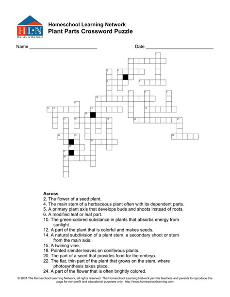 Flower Parts Crossword Puzzle