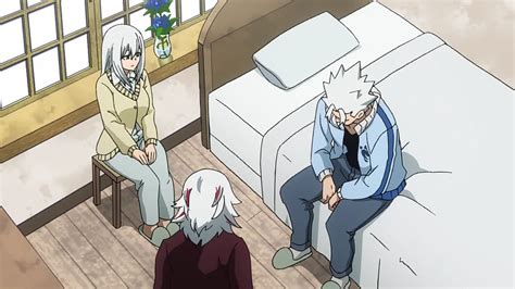 My Hero Academia manga finally sees the Todoroki family admit their ...