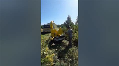 Дробление веток - YouTube