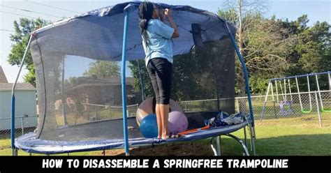 How to disassemble a springfree trampoline: Quick Guide (2025)