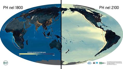 Acidificazione Degli Oceani Quali Conseguenze Rischiamo Icona Meteo