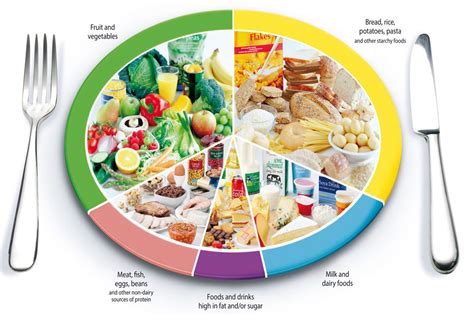 The eatwell plate: how to use it in promotional material - GOV.UK