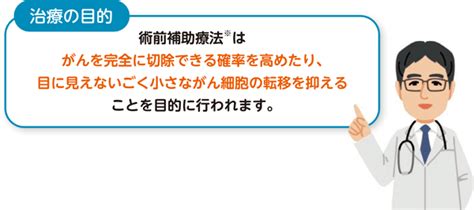 肺がんの治療でオプジーボ・化学療法併用療法（術前補助療法）を使用された方へ 小野薬品 がん情報 一般向け