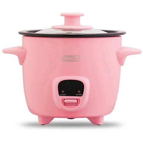 DASH 2-Cup Mini Rice Cooker with 14 Recipes – Cookware Store