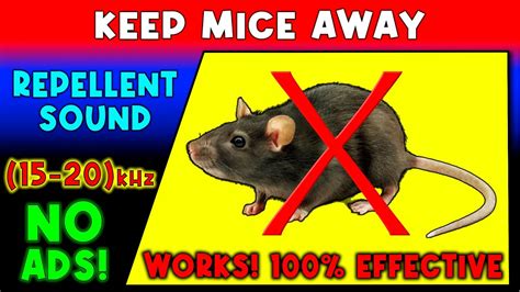 Anti Mice Repellent Sound Keep Mice Away Ultrasonic Sound Youtube