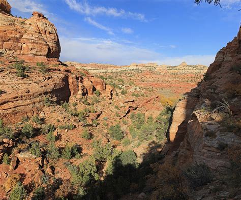 Escalante River Hike | Natural Atlas