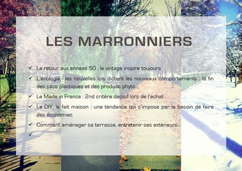 Communiqué Les MARRONNIERS - Salle de presse - 02.01.17