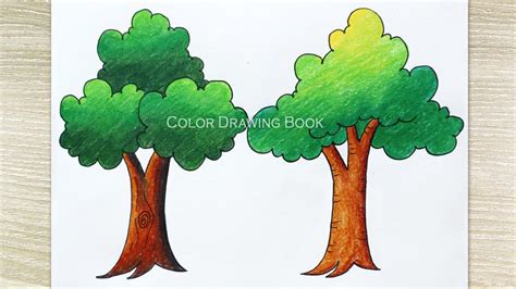 Tree Drawing With Color For Kids