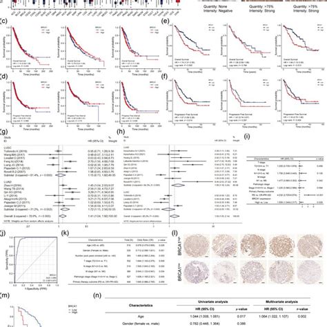 High BRCA1 Expression Is An Independent Prognostic Biomarker In Lung