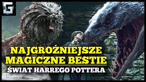 Jakie Stworzenia Siały Postrach w Świecie Harrego Pottera YouTube