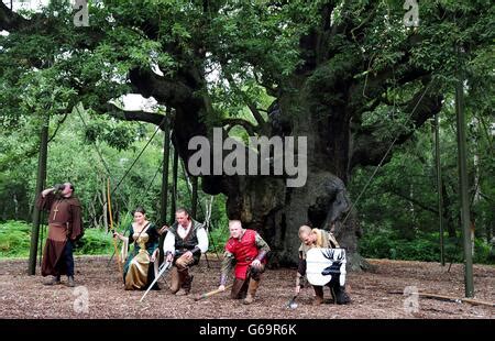 Robin Hood Festival The Major s Oak Largest Oak Tree in the UK the ...