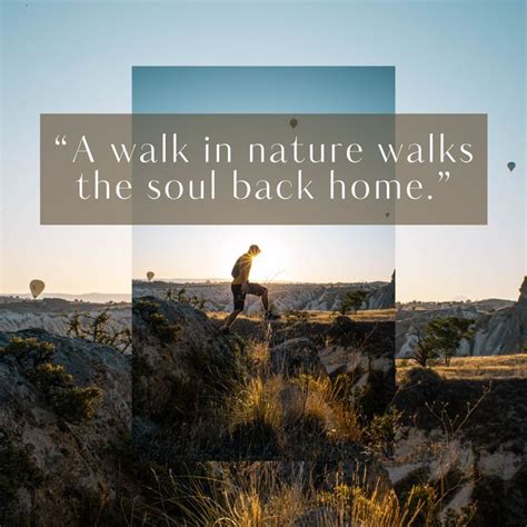 A walk in nature walks the soul back home - Hiking Quotes