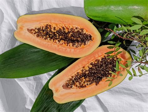Папайя королевская - купить за 755.00 грн, доставка по Киеву и Украине ...