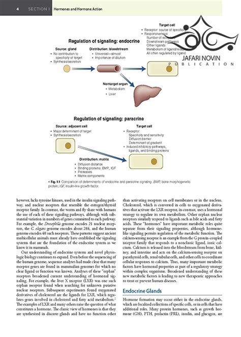 2020 Williams Textbook Of Endocrinology 14th Edition کتاب درسی غدد درون