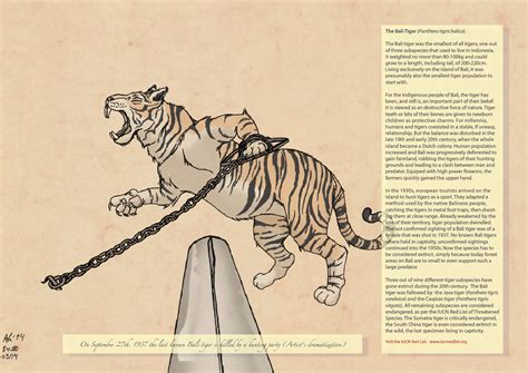 - ALREADY EXTINCT - The Bali Tiger SFW by KhaoShar on DeviantArt