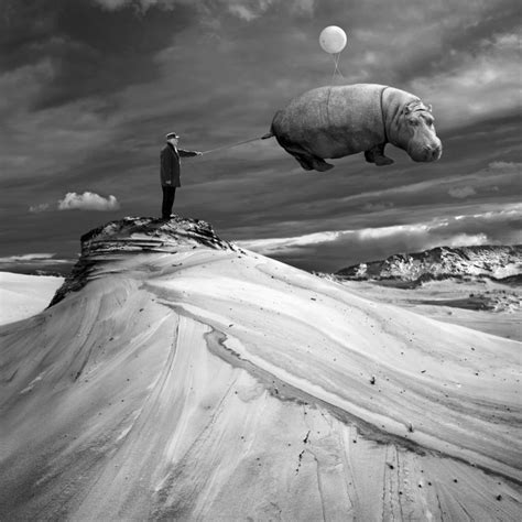 Flying hippo by Kleemass on DeviantArt