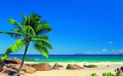 Beautiful Beach Backgrounds