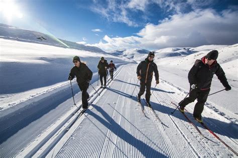 Snow Farm New Zealand In Queenstown