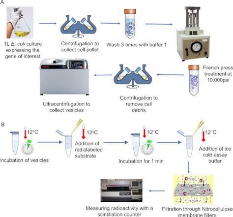 Schematic Representation Of The Method A Schematic Representation