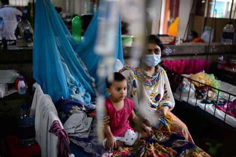 Double Blow Bangladesh Battles Dengue Outbreak Amid Covid Crisis