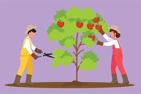 Graphic flat design drawing agriculture gardeners take care of tree on garden. Couple farmers ...