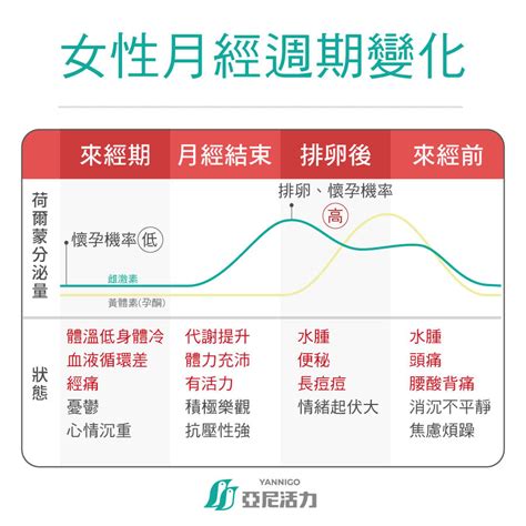 排卵日、排卵期怎麼算？會出現什麼症狀？準備懷孕的你必知！ 亞尼活力