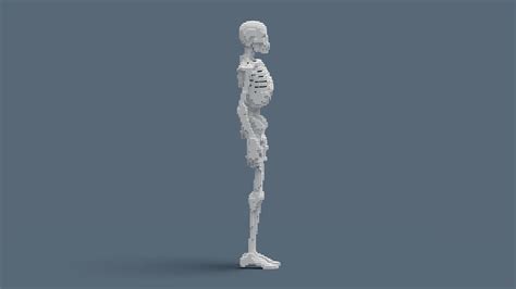 3d Model Voxel Skeleton Vr Ar Low Poly Cgtrader